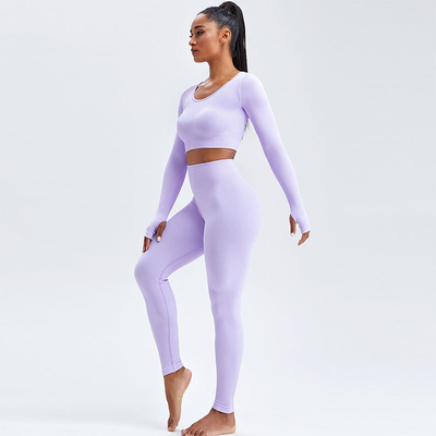 Stretchable Female Yoga Set Clothes Seamless Running Ribbed Crop Top Leggings