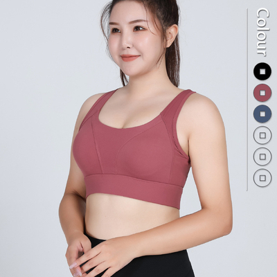 Sexy Mesh Plus Size Sports Bra Gathered Nylon Spandex 3 Colors