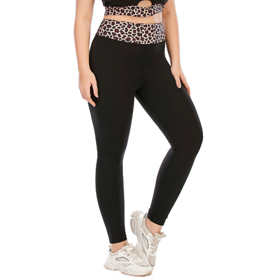 Anti UV Women's Plus Size Sportswear High Waist Matching Sports Bra And Leggings