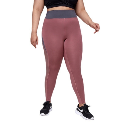Womens Tight Plus Size Yoga Pants Mesh Splicing High Elastic Quick Dry