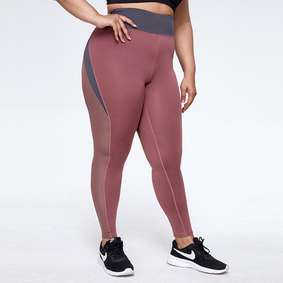 Womens Tight Plus Size Yoga Pants Mesh Splicing High Elastic Quick Dry
